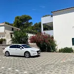 Dalmatino - 6