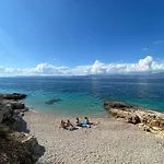 Dalmatino - 6 *