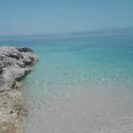 Dalmatino - 6