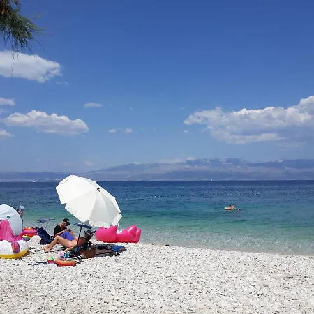 Dalmatino - 6 *