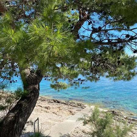 Dalmatino - 6 Sutivan