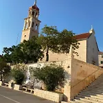 Dalmatino - 6