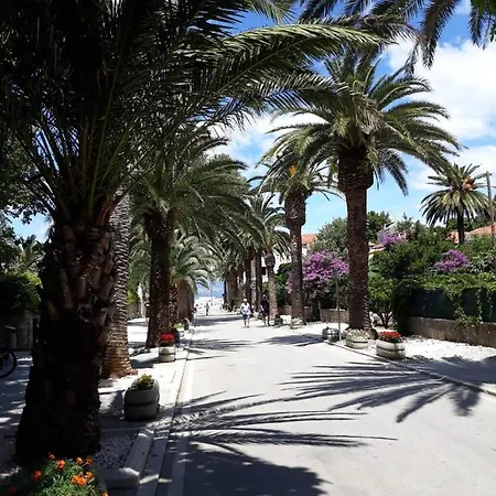 Dalmatino - 6 Sutivan