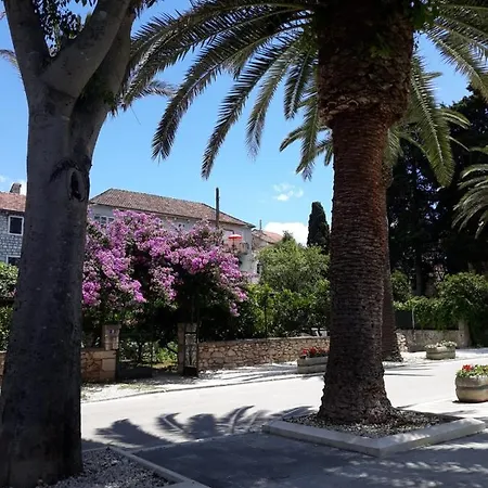 Dalmatino - 6 Daire