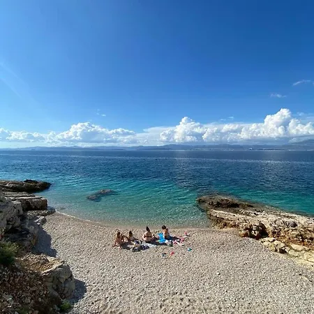 Dalmatino - 6 *