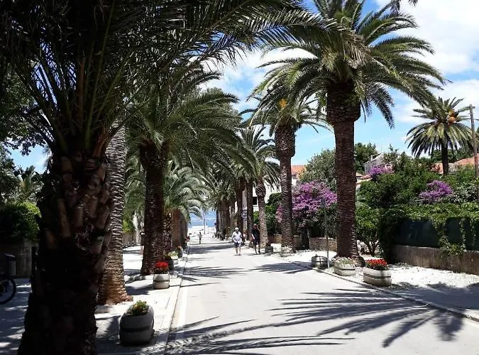 Dalmatino - 6 Sutivan