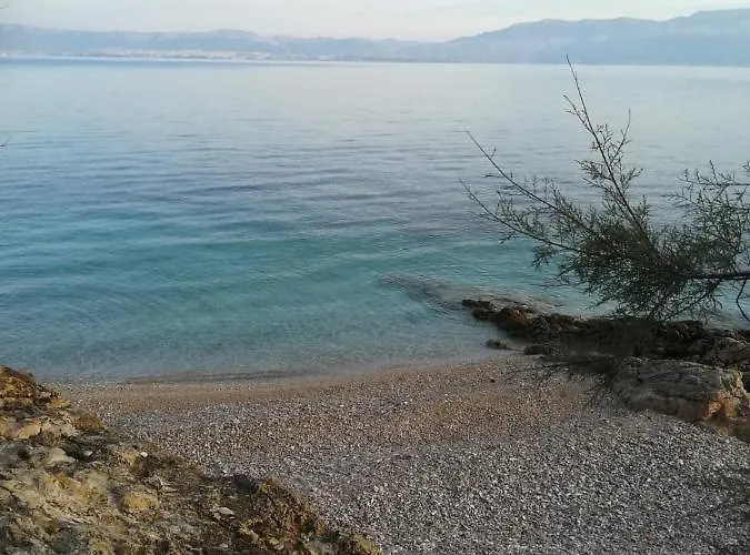 Dalmatino - 6 Lejlighed